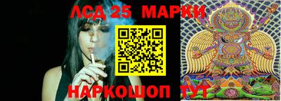 СК Кимры